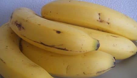 fresh bunch of bananas